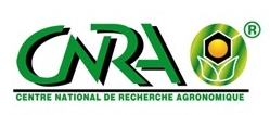 Partenaire 2